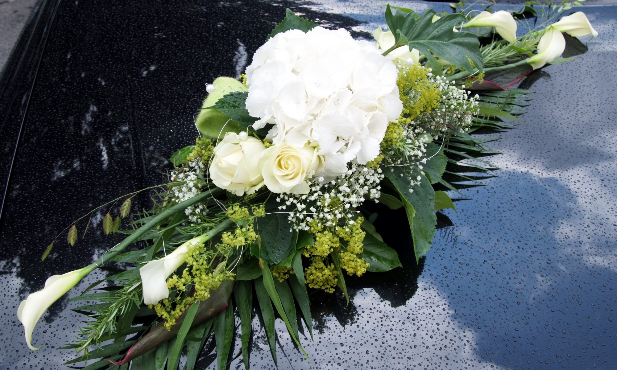 Ein Autogesteck auf einer schwarzen Motorhaube mit weißen Blumen und verschiedenen grünen Blättern länglich gesteckt.